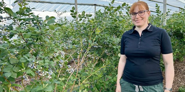 Die Beerenberaterin vom Arenenberg, Carole Wyss, steht vor der Heidelbeersorte Topshelf. Die Beeren dieser aufrecht wachsenden Sorte reifen gleichzeitig ab. 