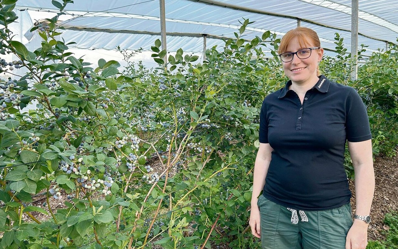 Die Beerenberaterin vom Arenenberg, Carole Wyss, steht vor der Heidelbeersorte Topshelf. Die Beeren dieser aufrecht wachsenden Sorte reifen gleichzeitig ab. 