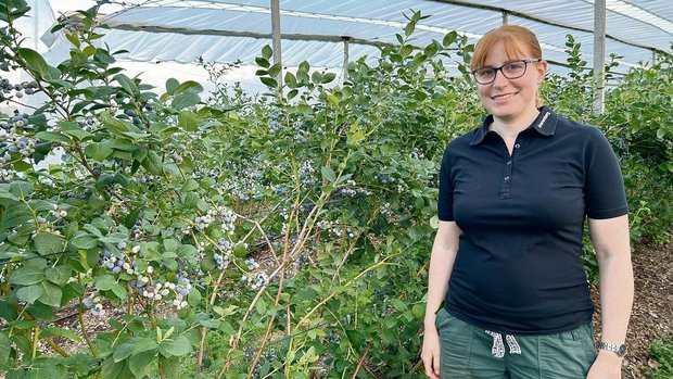 Die Beerenberaterin Die Beerenberaterin vom Arenenberg, Carole Wyss, steht vor der Heidelbeersorte Topshelf. Die Beeren dieser aufrecht wachsenden Sorte reifen gleichzeitig ab.