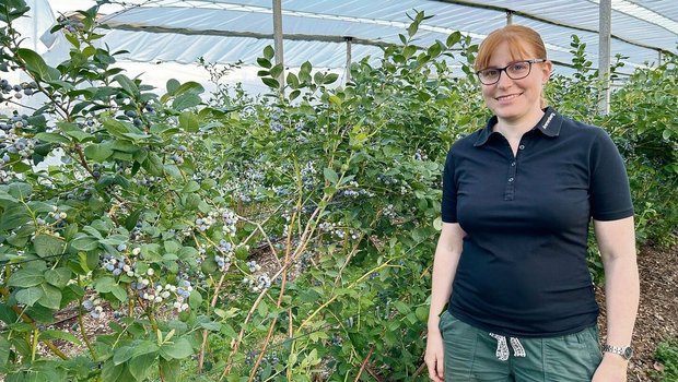 Die Beerenberaterin vom Arenenberg, Carole Wyss, steht vor der Heidelbeersorte Topshelf. Die Beeren dieser aufrecht wachsenden Sorte reifen gleichzeitig ab. 