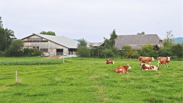 Ein Stall, der sich gut in die Landschaft einfügt und die Ansprüche der Besitzer erfüllt, macht länger Freude. (Bild zVg)