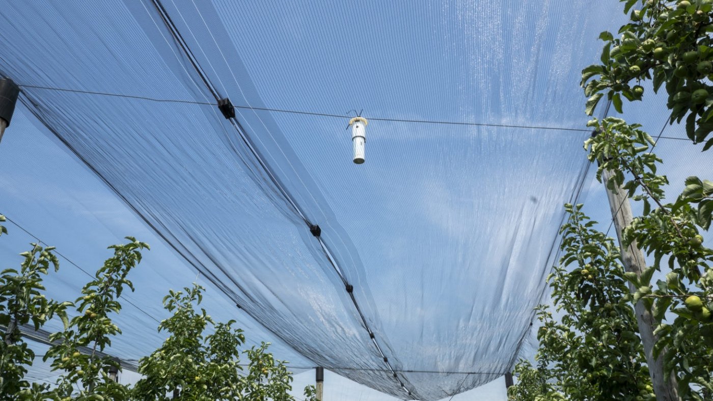 Die neue Kampagne zeigt unter anderem wie Schädlinge bekämpft werden. (Bild zVg)