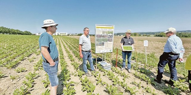 Pflug, Mulchsaat oder Direktsaat? Darüber diskutieren Urs Dietiker (VTL-Kommission Pflanzenbau), Marcel Gerber (Pächter Brunnegg), Gregor Affolter (Arenenberg) und Wolfgang Sturny (v. l.).