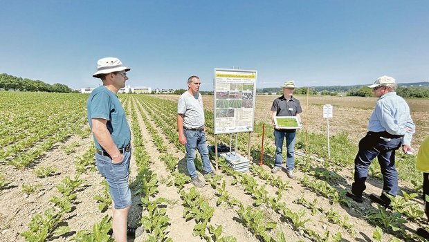 Pflug, Mulchsaat oder Direktsaat? Darüber diskutieren Urs Dietiker (VTL-Kommission Pflanzenbau), Marcel Gerber (Pächter Brunnegg), Gregor Affolter (Arenenberg) und Wolfgang Sturny (v. l.).