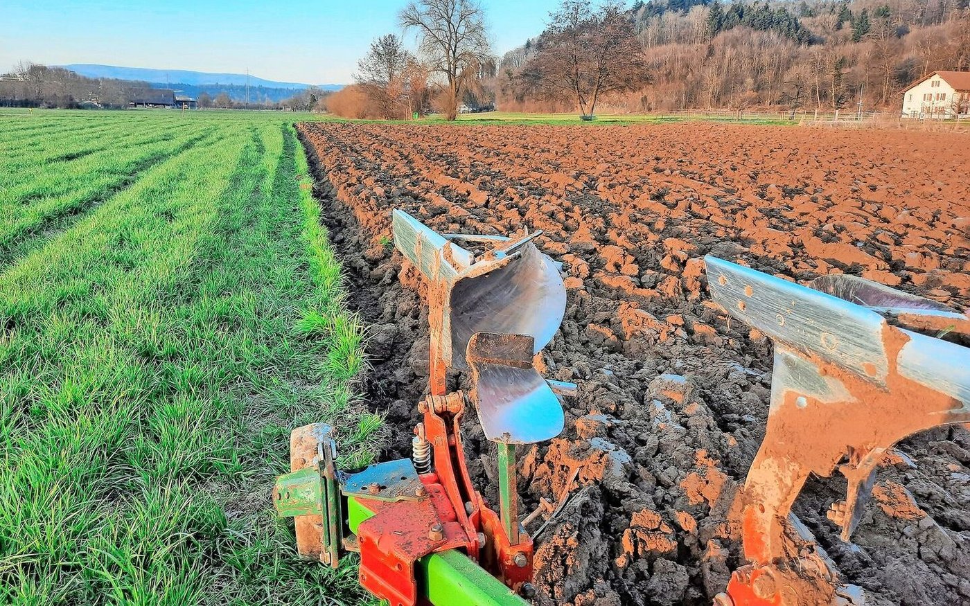 Vielerorts wurde die Grundbodenbearbeitung durchgeführt. 
