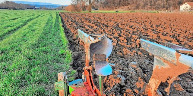 Vielerorts wurde die Grundbodenbearbeitung durchgeführt. 