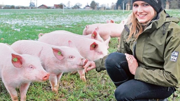 Auf dem Hof von Annemie Straumann-Weber wird künftig nach Demeter-Richtlinien produziert. Dazu gehören auch Freilandschweine, die in Zukunft als Zusatzfutter Eicheln fressen. (Bild Ruth Bossert)