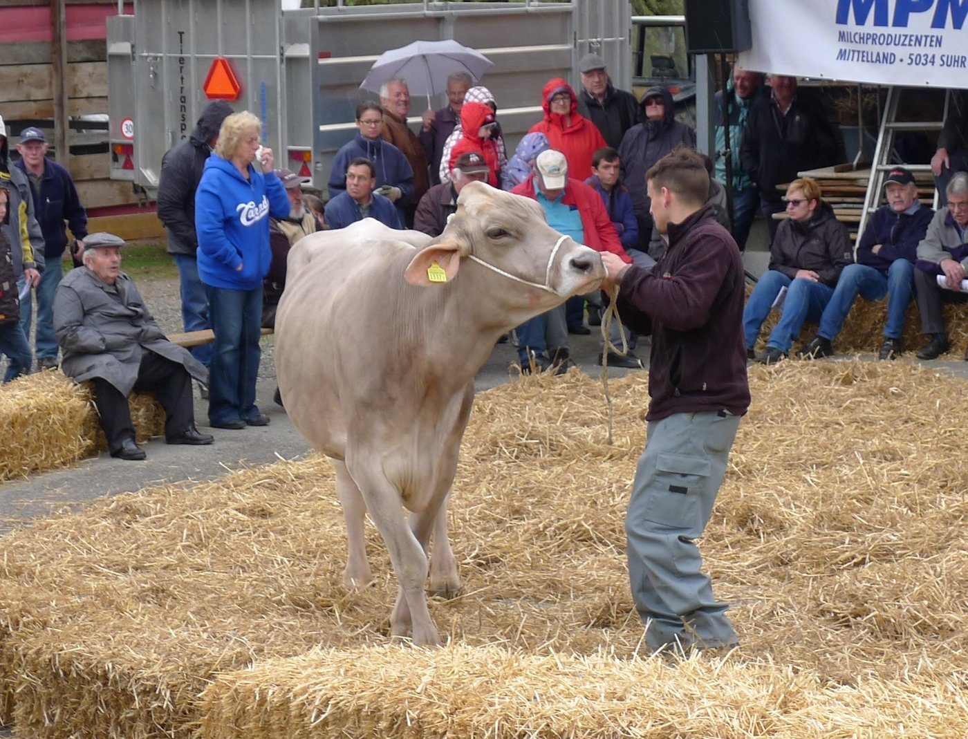 Das Auktionsgeschehen auf dem Horben. (Bilder zVg)