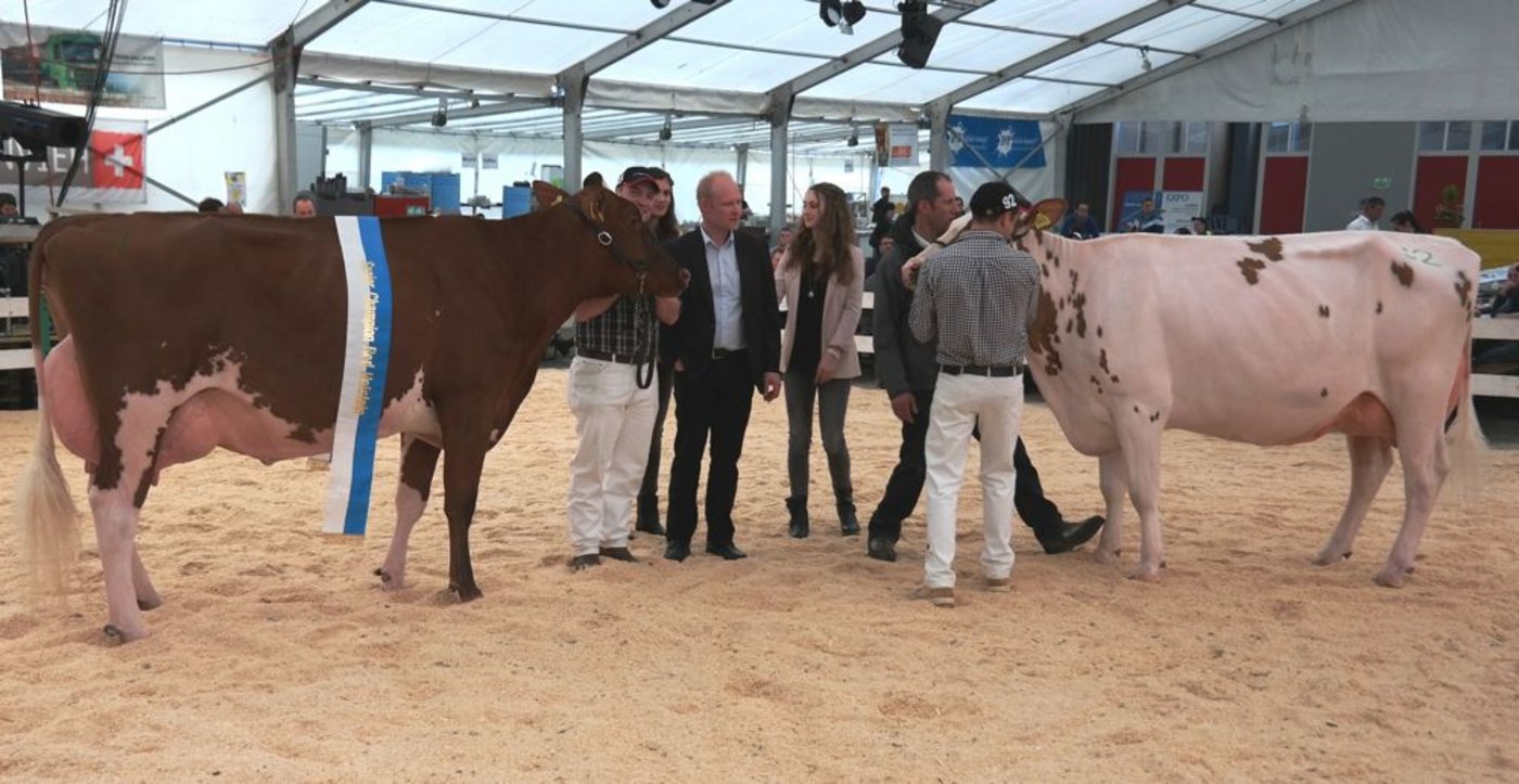 Championne Red Holstein, KAMIRA HVEZDA von Rüttimann André & Patrick 6276 Hohenrain und der Vize-Championne, SASSJ SAVARD-ET von Häfliger Mario 6113 Romoos.