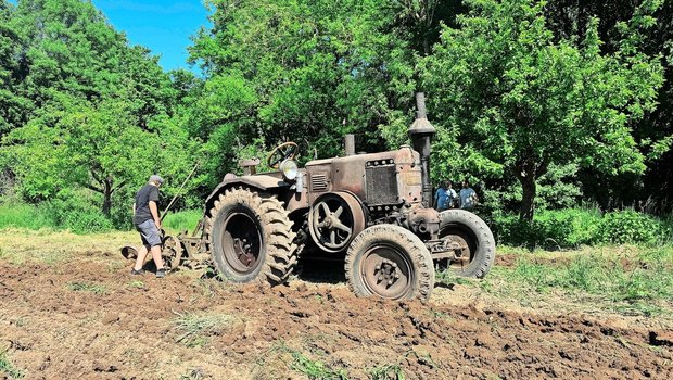 Der «Bulldog» pflügt auch heute noch die Felder. Dieses Model D9506 kommt oft an Wochenenden im Écomusée d’Alsace zum Einsatz.