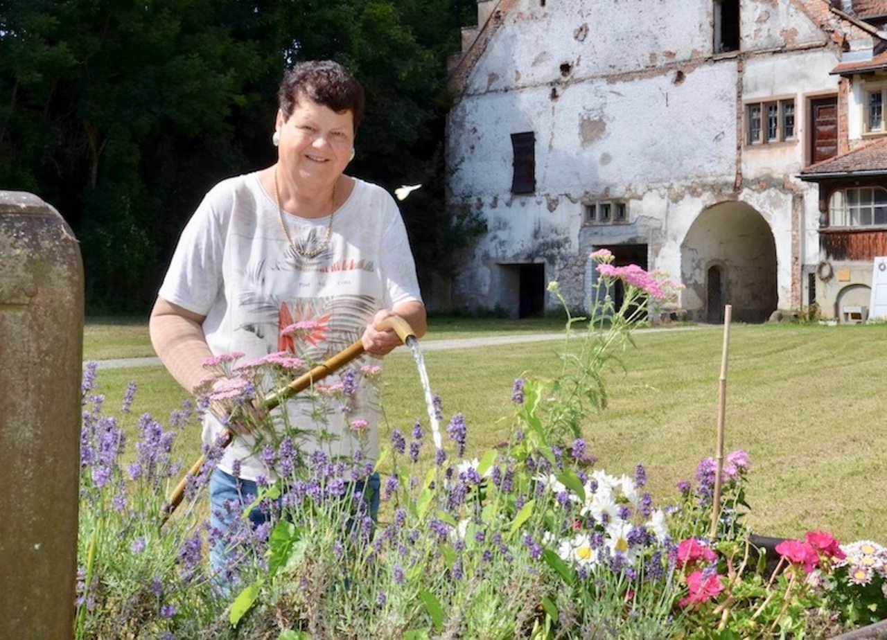 Zum Schhloss gehört auch ein grosser Park.