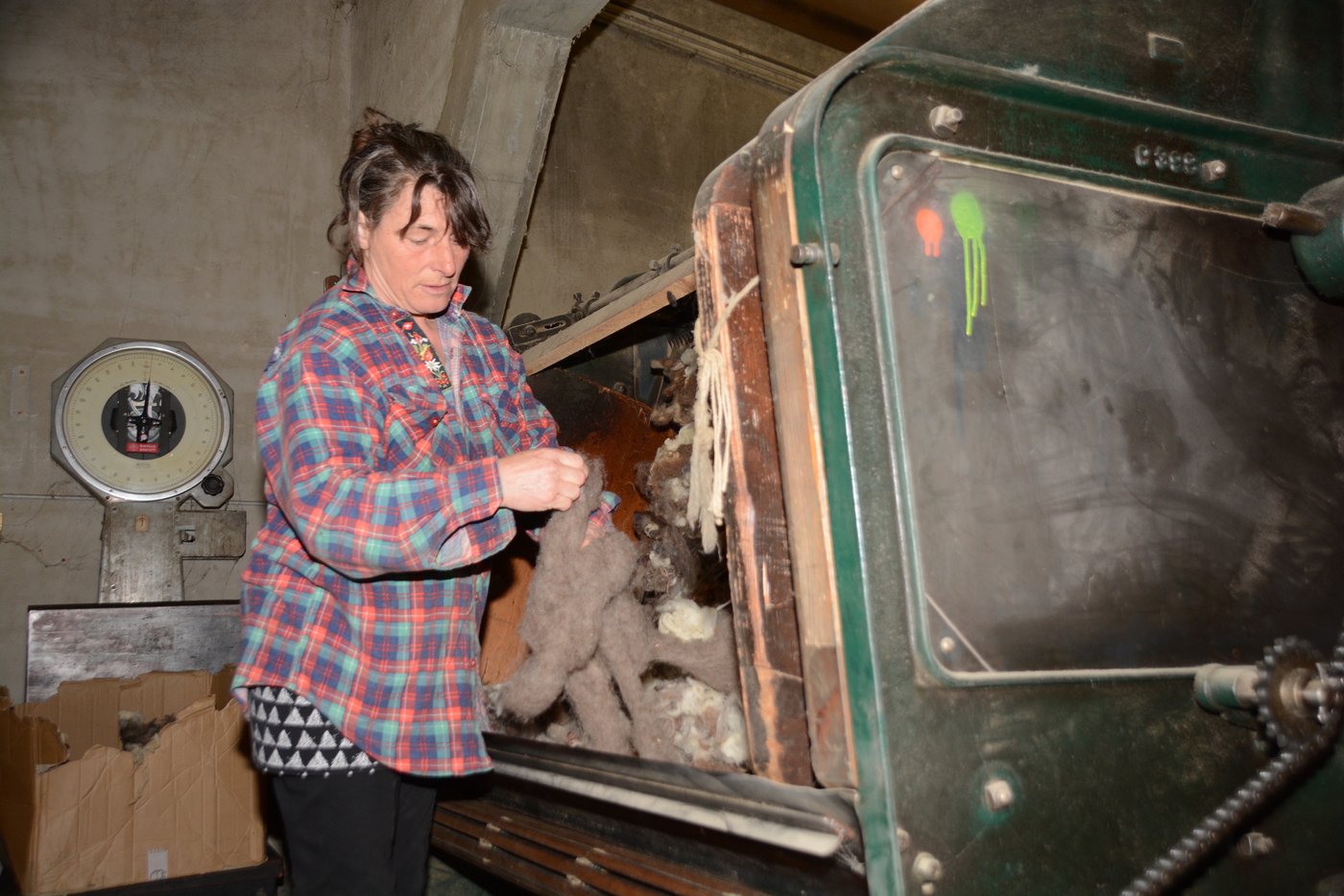 Elsbeth Arnold bei der Arbeit. (Bilder ag)