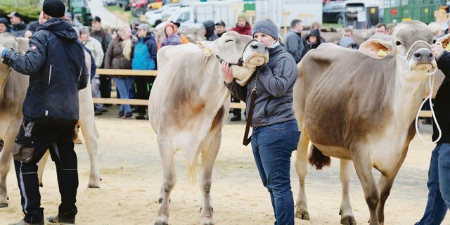 Kuschelkuh Julischka und meine Wenigkeit beim Line-Up in Riffenmatt. (Bild Rolf Schumacher)