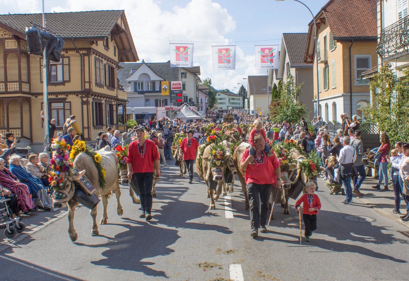 Im Dorfzentrum von Schüfheim haben tausende Besucher auf die sieben Älplerfamilien mit ihren prächtig geschmückten Tieren gewartet. (Bilder Sandra Steffen-Odermatt)