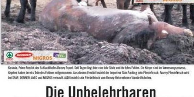 Unter dem Titel "die Unbelehrbaren" berichtet der Tierschutzbund Zürich, dass bei Schweizer Detailhändlern verkauftes Pferdefleisch immer noch aus quälerischer Produktion komme. (Bild: Screenshot Tierschutzbund Zürich)