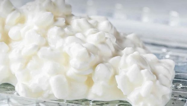 Der Schweizer Hüttenkäse ist saftiger als der deutsche, deshalb will Lidl aus deutscher Biomilch hergestellten Hüttenkäse von Züger. (Bild Swissmilk)