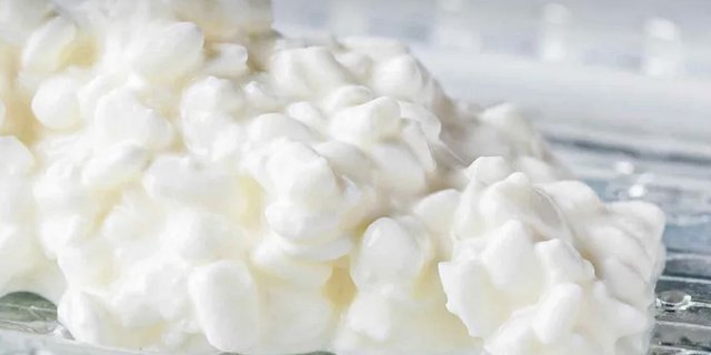 Der Schweizer Hüttenkäse ist saftiger als der deutsche, deshalb will Lidl aus deutscher Biomilch hergestellten Hüttenkäse von Züger. (Bild Swissmilk)