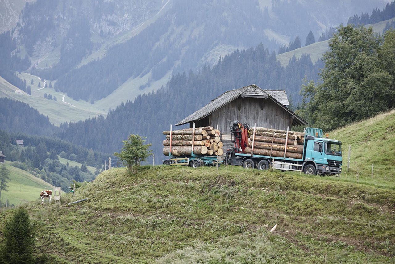 Dank der neuen Beiträge sollen Schweizer Wälder auch in schwer zugänglichen Gebieten in gutem Zustand gehalten und klimafit gemacht werden können. (Bild zVg)