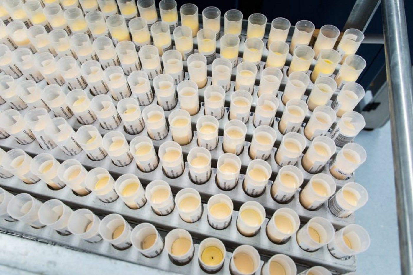 Und auch für Suisselab gibt es wirtschaftliche Interessen, mit der Zeit gehen zu können.