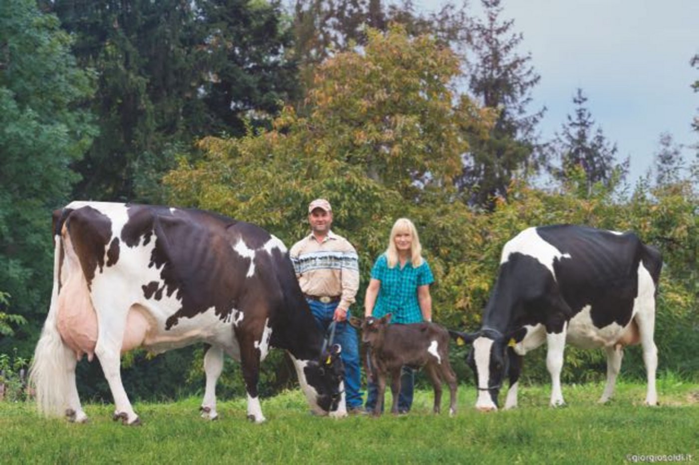Bladine (links) mit ihrer Tochter Haselbach Top Flight Hollywood und ihrem letztgeborenen Kalb. Sie gehören Manuel und Rosmarie Hasler. (Bilder Giorgio Soldi)