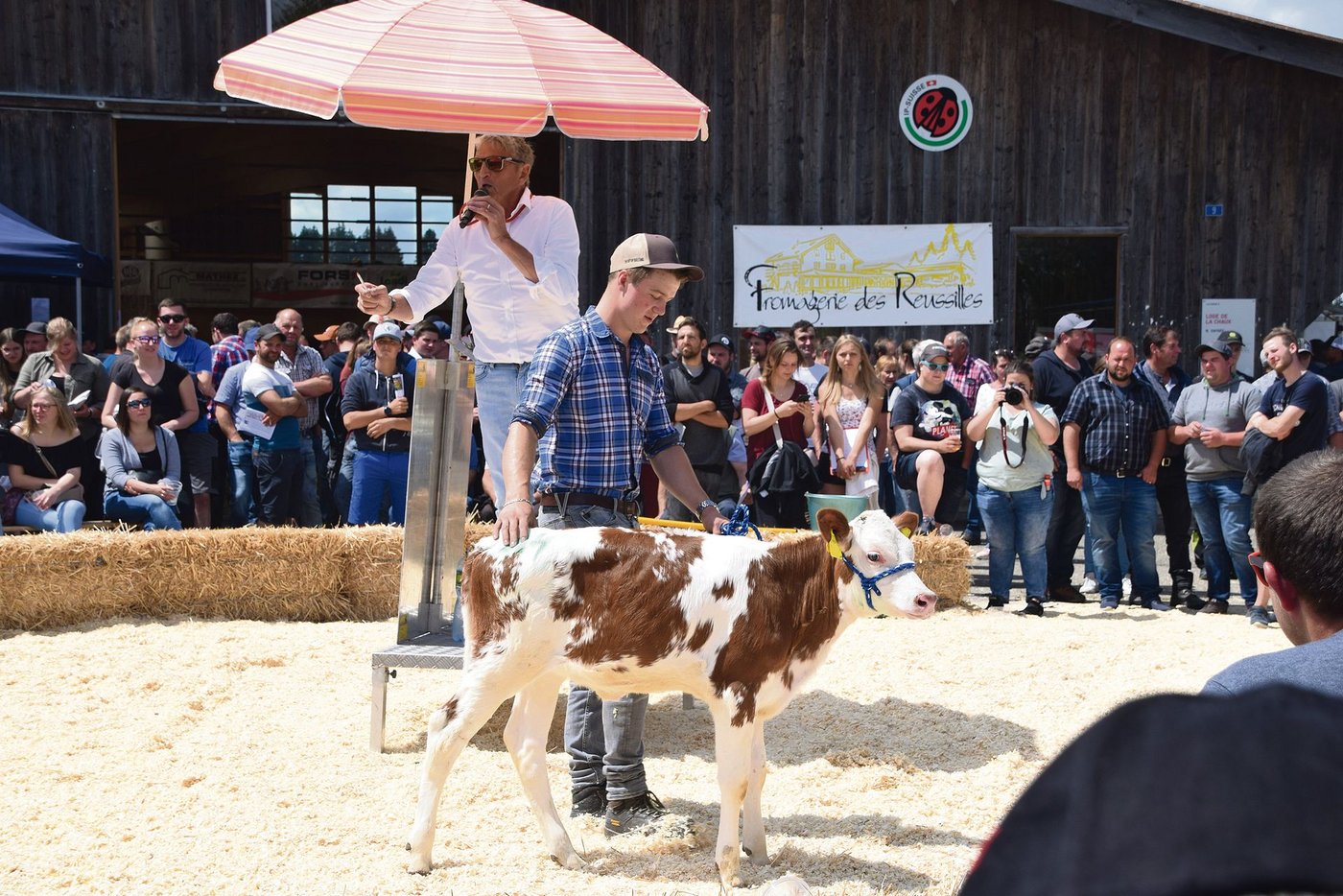 Das am 27. April 2021 geborene Kalb Les Richard Jeremy Samya war einem Käufer 6000 Franken wert.