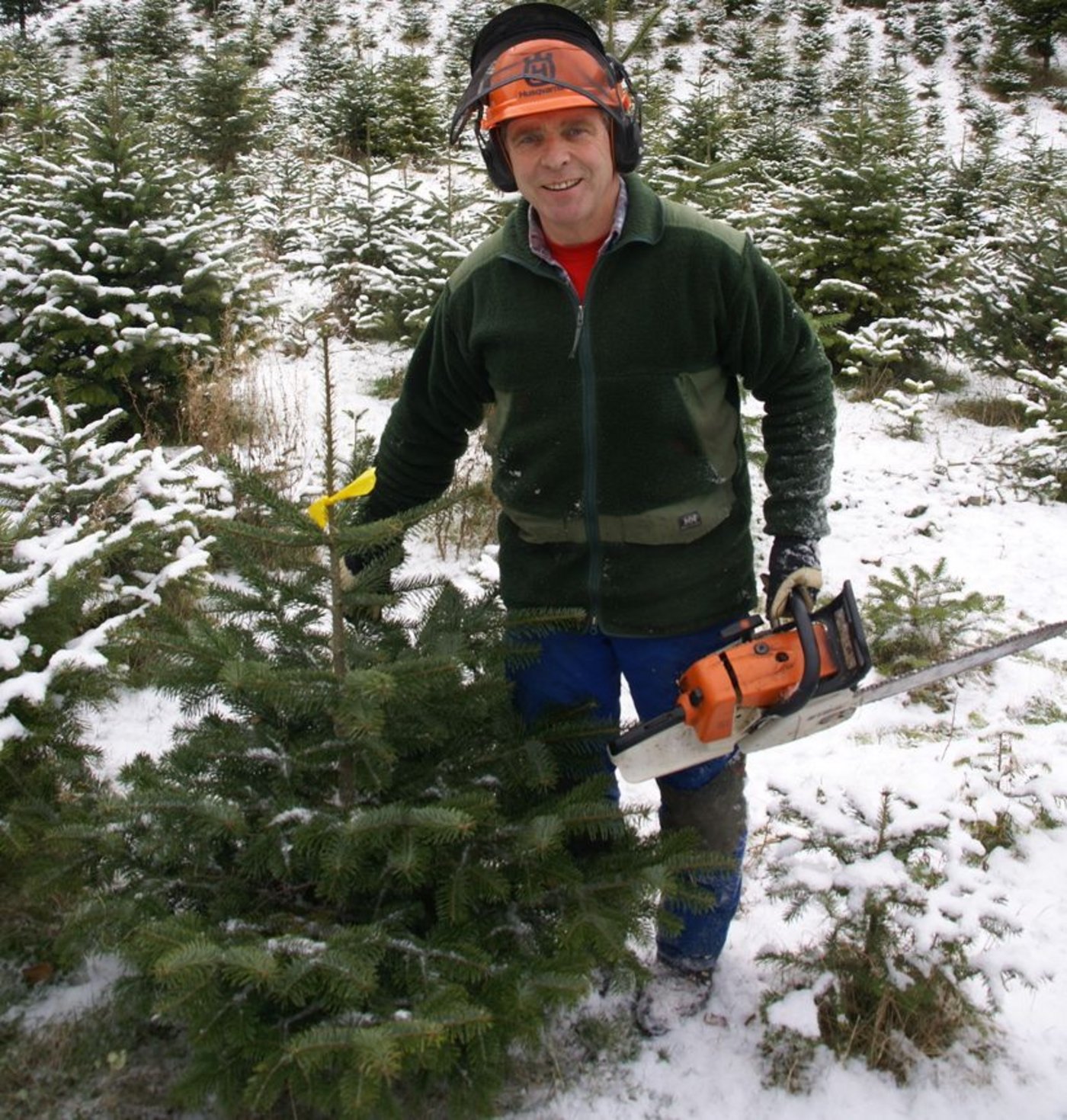 Der Jurapark bietet regionale Weihnachtsbäume an. (Bild: zVg)