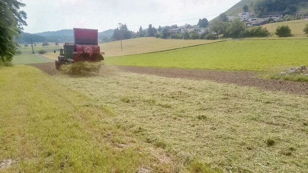 Von Hand oder mit de Von Hand oder mit dem Kompoststreuer wird Schnittgut auf die vorbereitete Empfängerfläche ausgebracht. Wichtig ist die gleichmässige Verteilung.