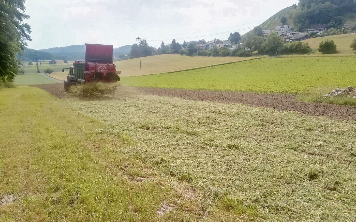 Von Hand oder mit dem Kompoststreuer wird Schnittgut auf die vorbereitete Empfängerfläche ausgebracht. Wichtig ist die gleichmässige Verteilung.