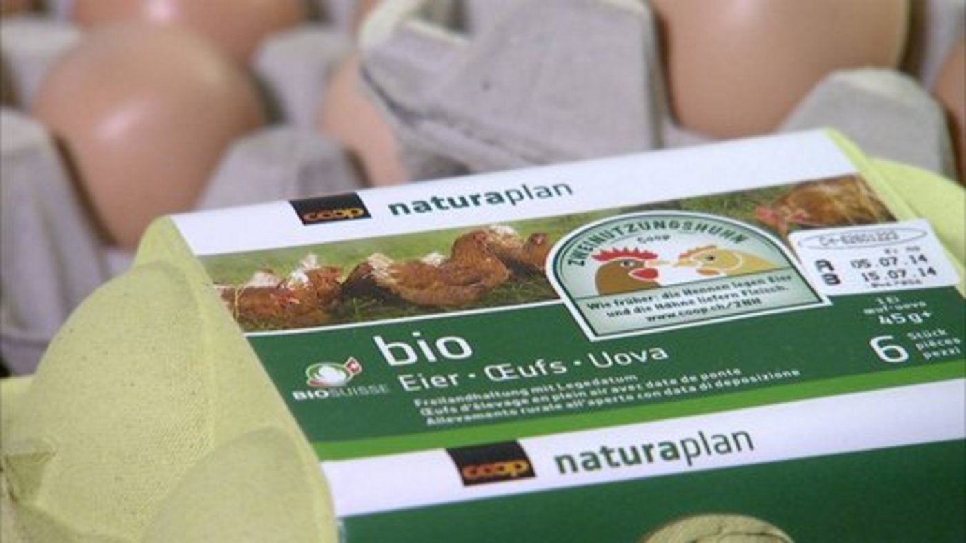 Die Zweinutzungshühner legen rund 250 Eier pro Jahr. (Bild: zvg/Coop)