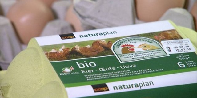 Die Zweinutzungshühner legen rund 250 Eier pro Jahr. (Bild: zvg/Coop)