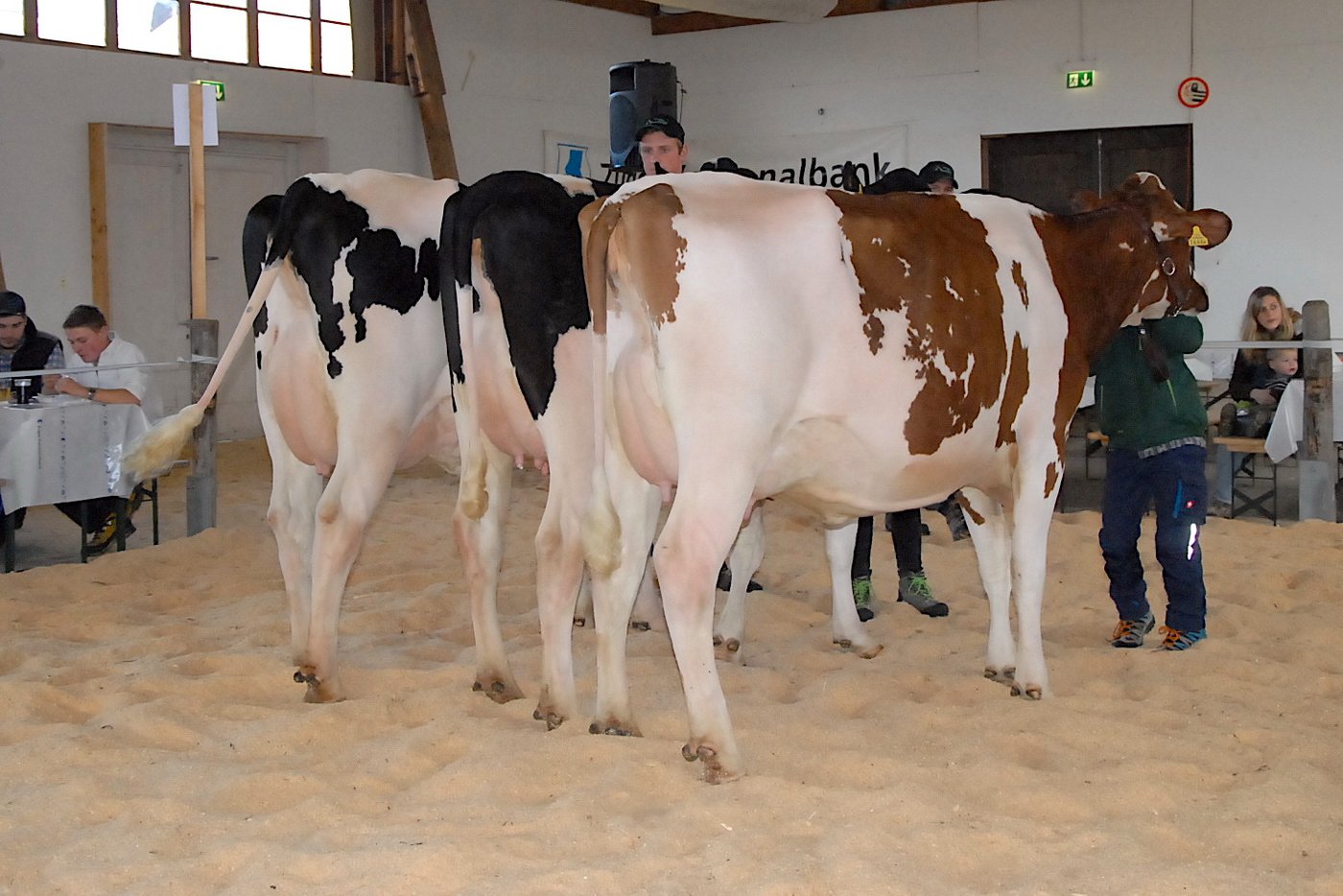 Den Betriebscup gewann Franz Abächerli aus Hausen am Albis.