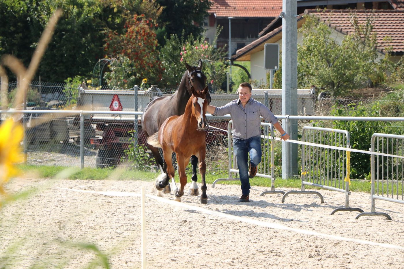 Als Corona-Massnahme mussten alle Besucherinnen und Besucher der Fohlenschau ihre Kontaktdaten hinterlassen. Dafür gab es ein blaues Armband. (Bild Alain Waser)