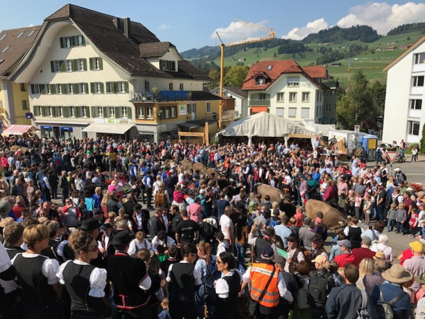 Schönes Spalier für Kühe, Älpler und Älplerinnen: Abfahrtsszene vom Samstag in Schüpfheim LU. (Bild akr)