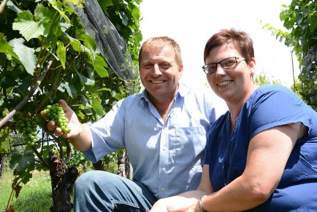 Zufrieden mit ihrem Weinberg: Markus und Eveline Bättig bauen auf rund 130 Aren Reben an. Den Wein vermarkten sie selber. (Bilder aem)