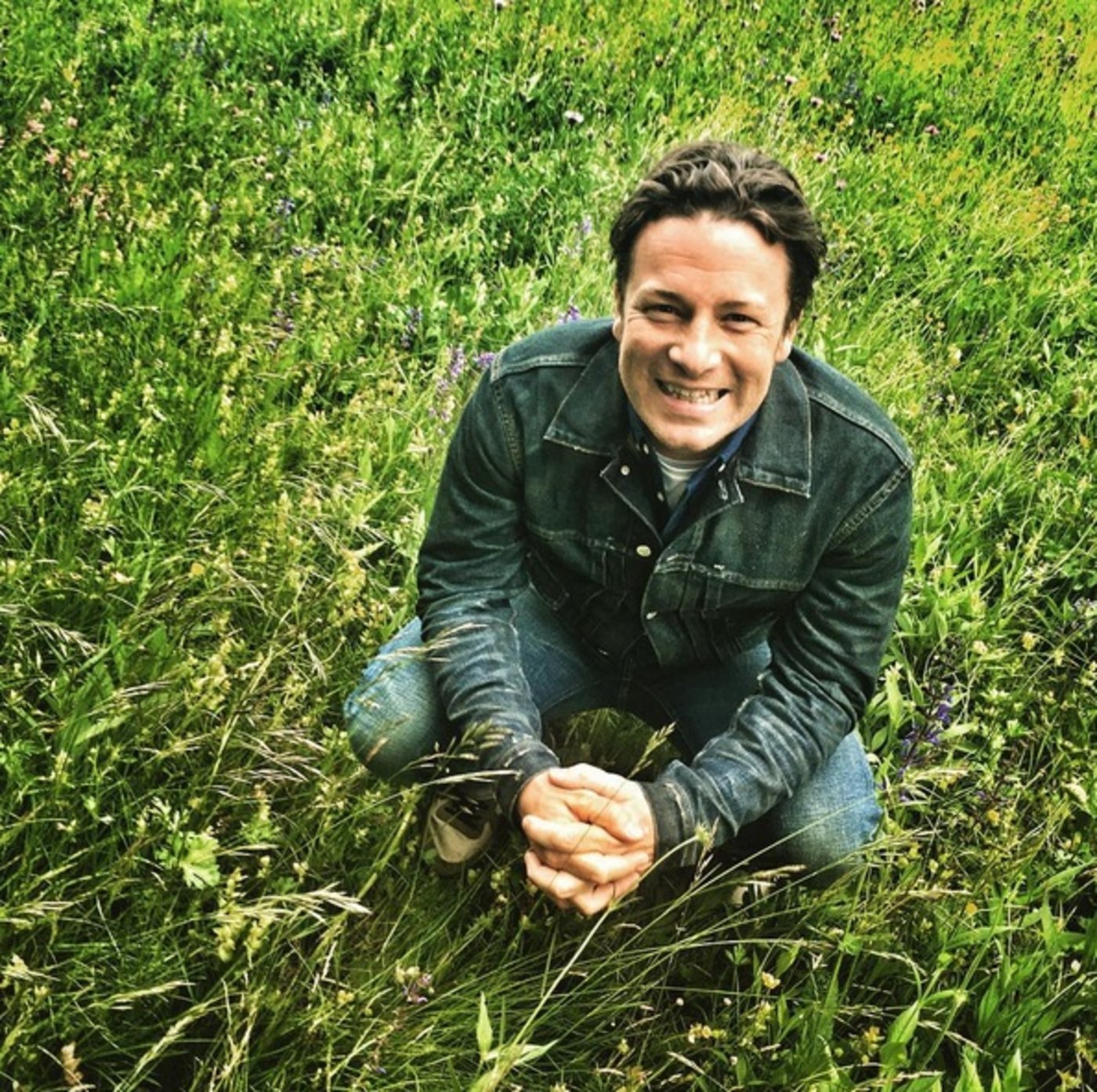 auf einer Bündner Bergwiese, ...