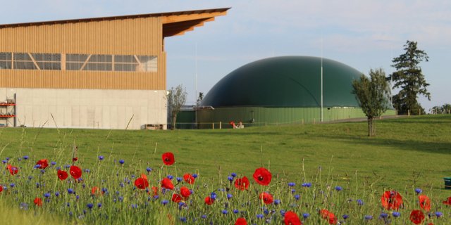 Effizient laufende Biogasanlagen, wie dies des Holzhof Käserei- und Landwirtschaftsbetriebs in Amlikon-Bissegg (TG), wären mit der aktuellen Version des Energieversorgungsgesetzes gefährdet. (Bild zVg)