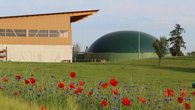 Effizient laufende Biogasanlagen, wie dies des Holzhof Käserei- und Landwirtschaftsbetriebs in Amlikon-Bissegg (TG), wären mit der aktuellen Version des Energieversorgungsgesetzes gefährdet. (Bild zVg)