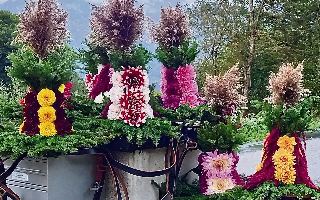 Temporäre Kunstwerke für die Alp-Abfahrt: Der aufwendige Blumenschmuck für die Köpfe der Kühe wird allesamt mit echten Blumen angefertigt.