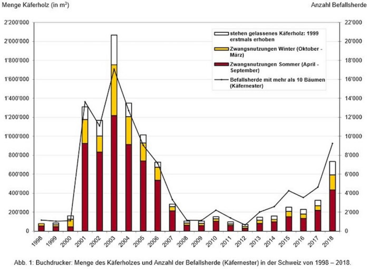 Die Grafik zeigt die Menge an Käferholz über die Jahre. Der grosse Peak ist die Folge des Sturms Lothar im Jahr 1999 und des Hitzesommers 2003. (Grafik WSL)