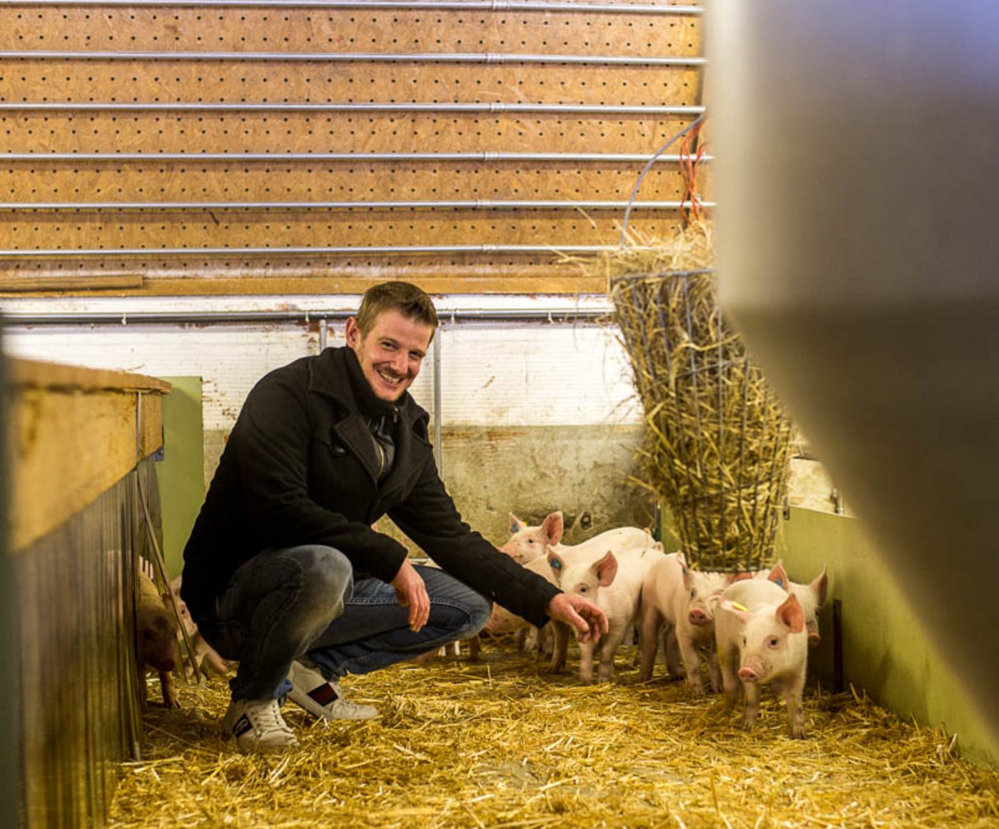 Thomas Bühler bei einigen seiner rund 700 Ferkel. Der Landwirt kann sich nicht vorstellen, ausserhalb eines Label-Programms Fleisch zu produzieren. (Bilder hja)