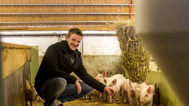 Thomas Bühler bei einigen seiner rund 700 Ferkel. Der Landwirt kann sich nicht vorstellen, ausserhalb eines Label-Programms Fleisch zu produzieren. (Bilder hja)