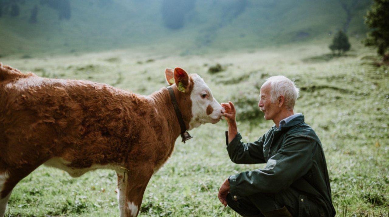 Einen Tag lang «dem Alpleben frönen» – mit Käse und tierischen Erfahrungen. (Bild zVg)