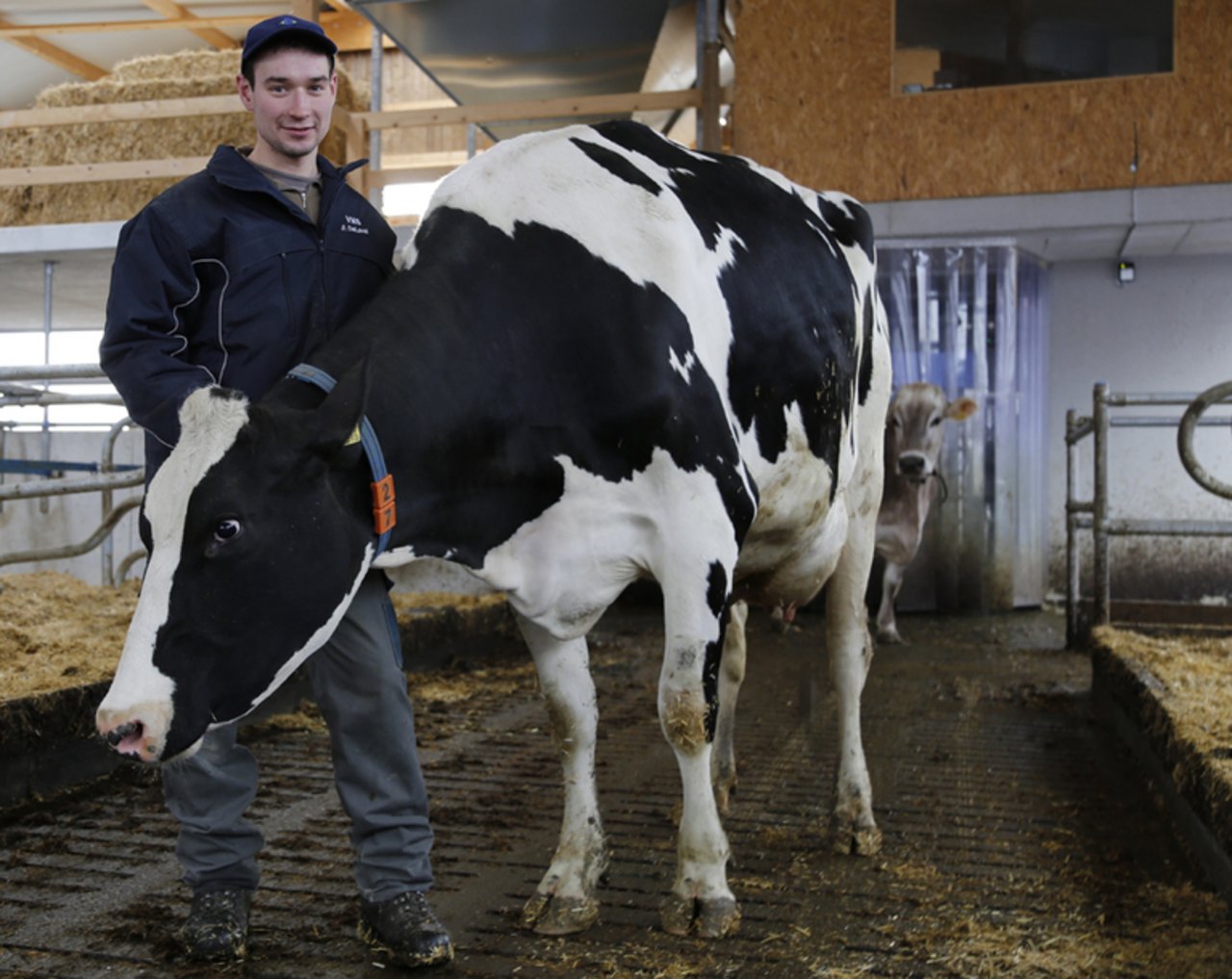 Keine fixen Stallzeiten, mehr Flexibilität. Thomas Näf lässt seit Kurzem seine Kühe mit einem Roboter melken. (mw)