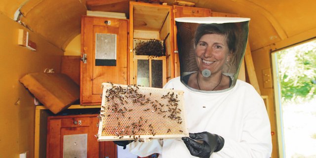 Corina Göpfert imkert in ihrem Bienenhaus mit Schweizerkasten. (Bild: Jürg Vollmer)