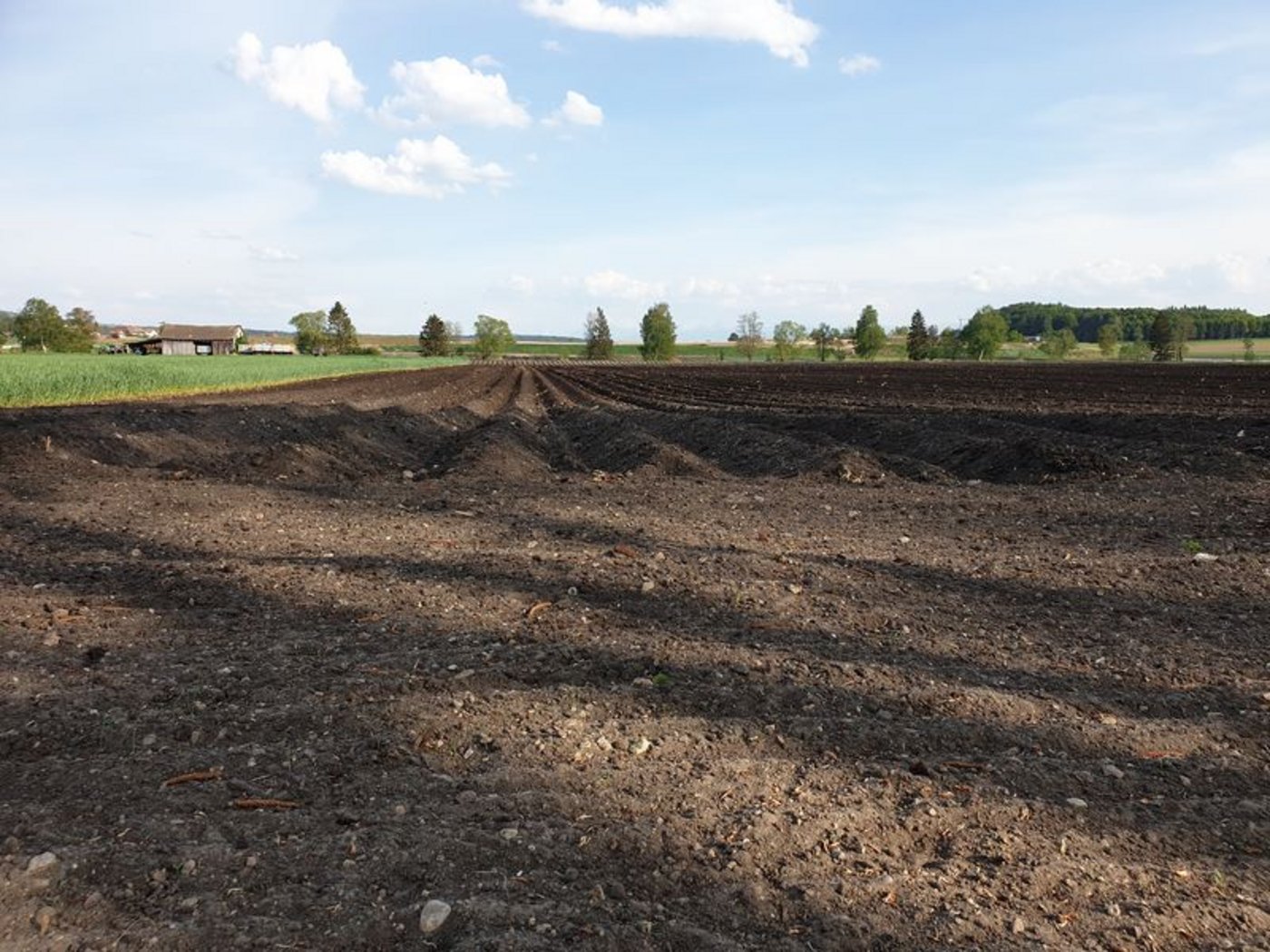 Der Boden soll gestärkt werden. (Bild lid/ji)