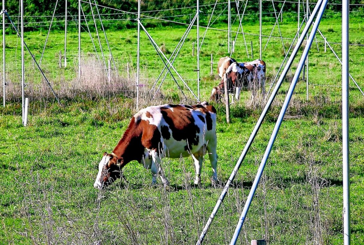 Während der nächsten fünf Jahre müssen die Kantone ihre Richtpläne vom Bundesrat genehmigen lassen. Die darin vorgesehenen Baulandreserven sollen für die nächsten 15 Jahre ausreichen. (Bild: SBV)