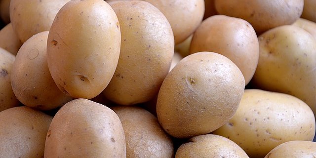 Damit auch nächstes Jahr Angebot und Nachfrage ausgeglichen sind, soll die Anbaufläche nicht vergrössert werden. (Bild Pixabay)