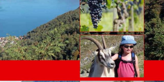 So präsentiert sich die Broschüre. (Bild zVg)