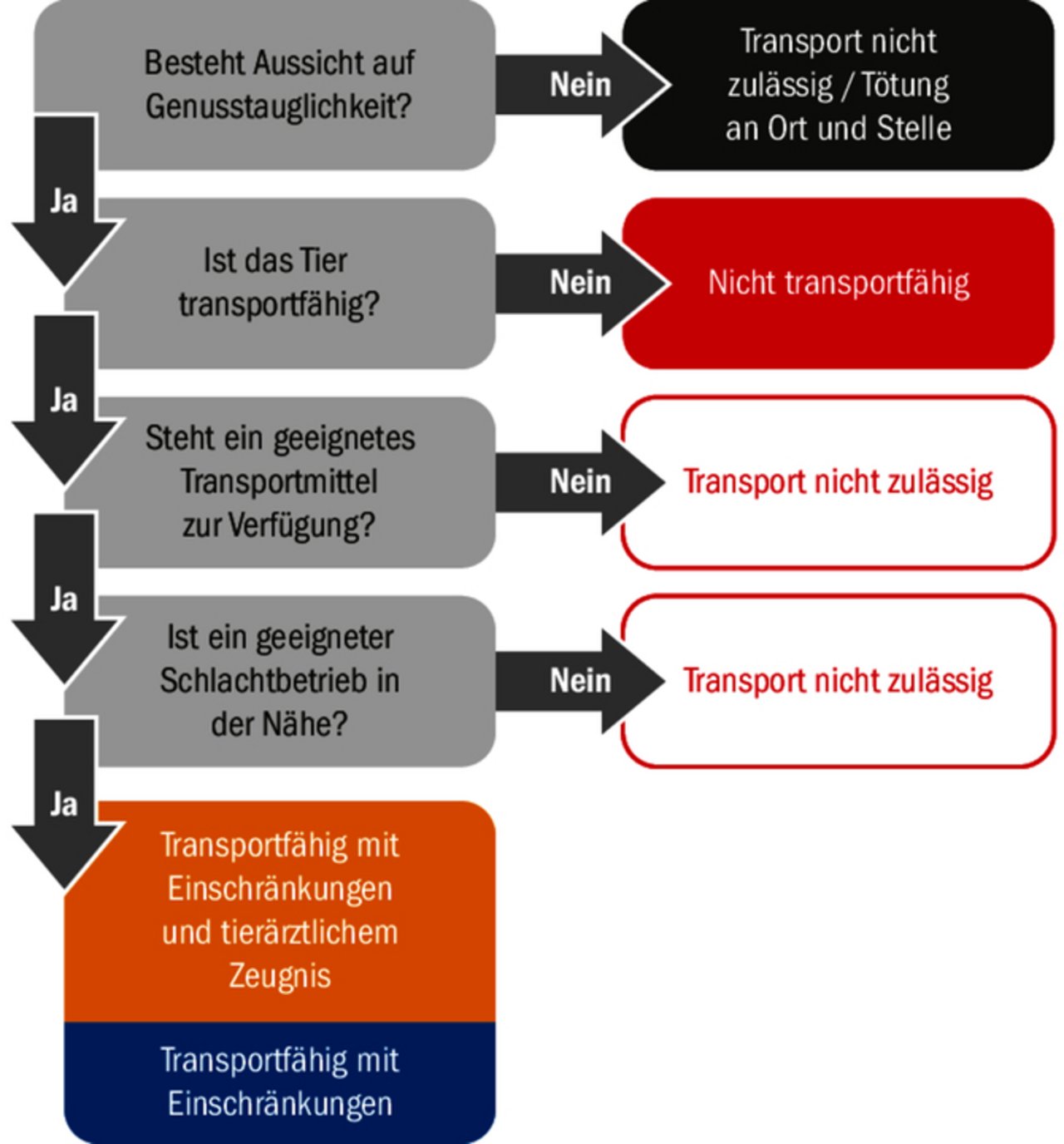 «Ja» oder «Nein» entscheiden über das weitere Vorgehen, soll ein Tier geschlachtet werden. 