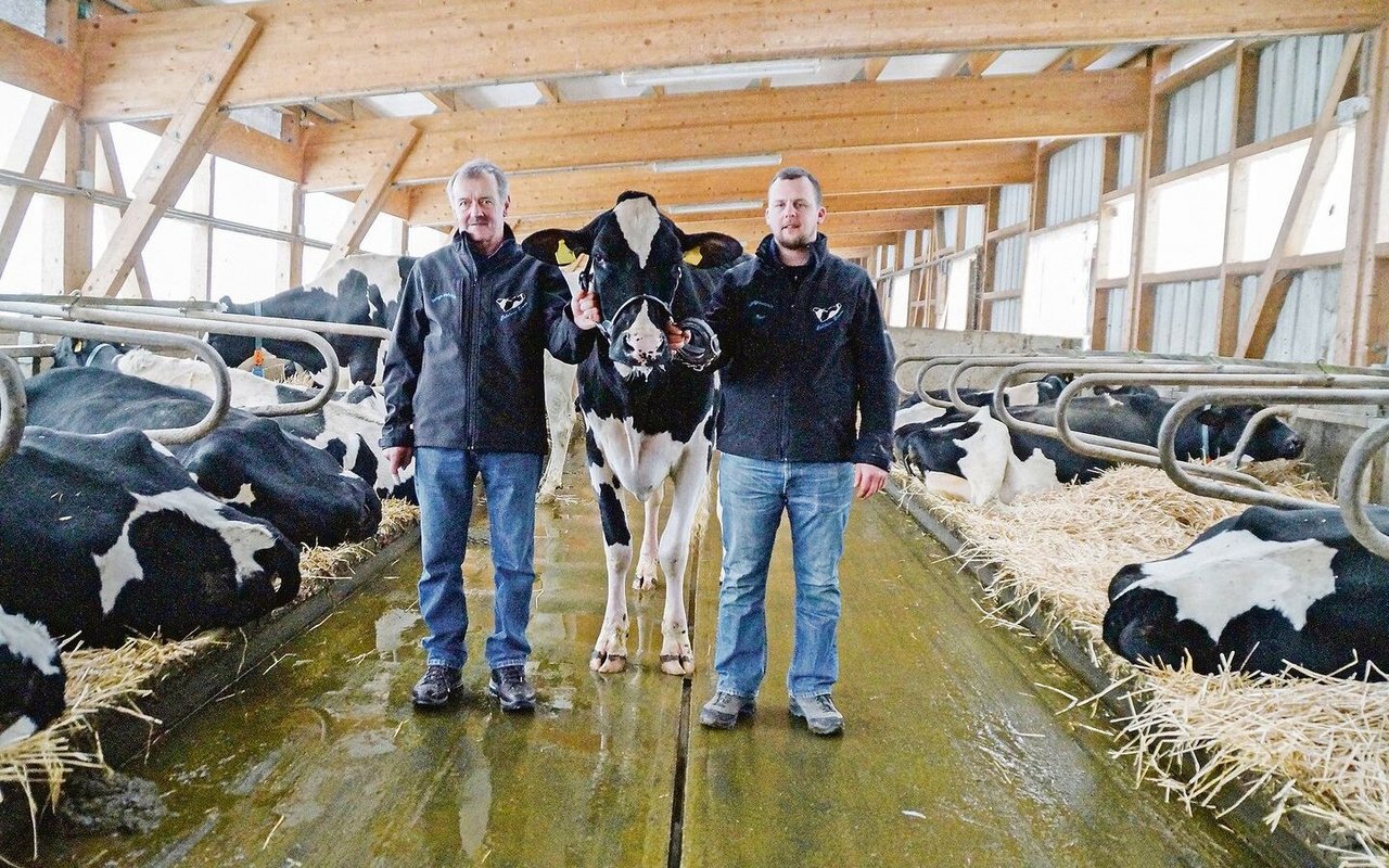 Das Herz des Vater-Sohn-Gespanns Alain (links) und Severin Jungo aus dem freiburgischen Tentlingen schlägt ganz klar für die Holsteinkühe. Heuer wurden die beiden vom Verband Holstein Switzerland für ihre Leidenschaft ausgezeichnet und mit dem Titel Meisterzüchter 2021 geehrt. 